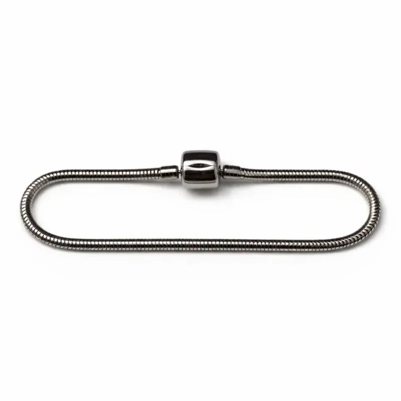 Pulseira Estilo Pandora em Aço