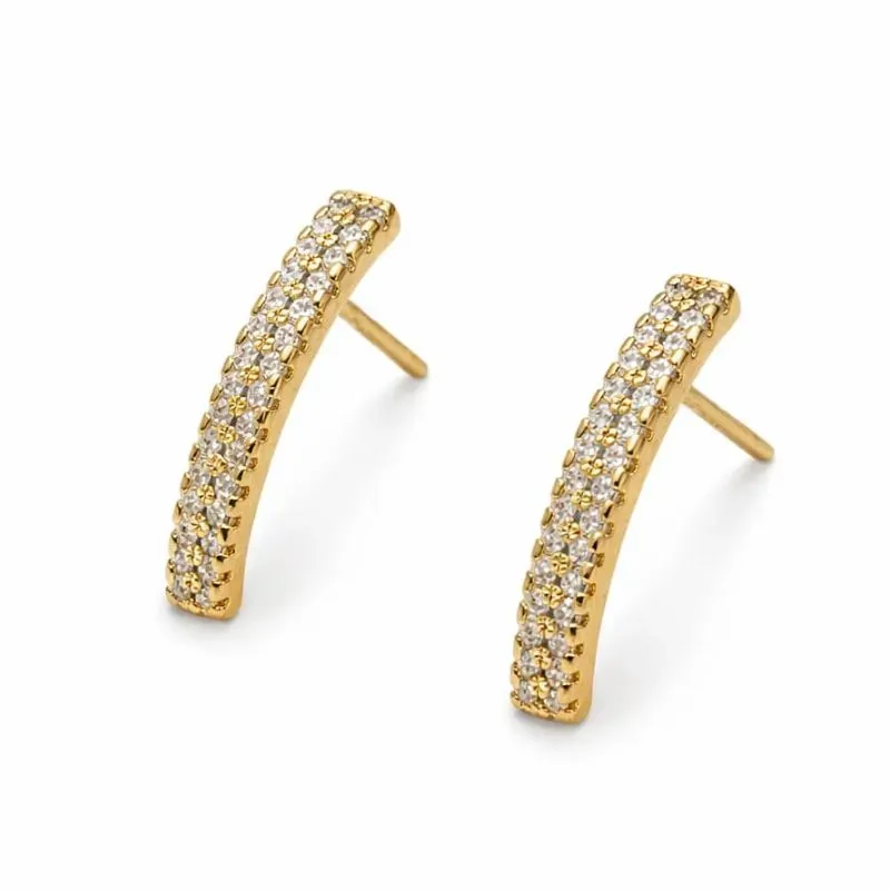 Brinco Curvado Cravejado.