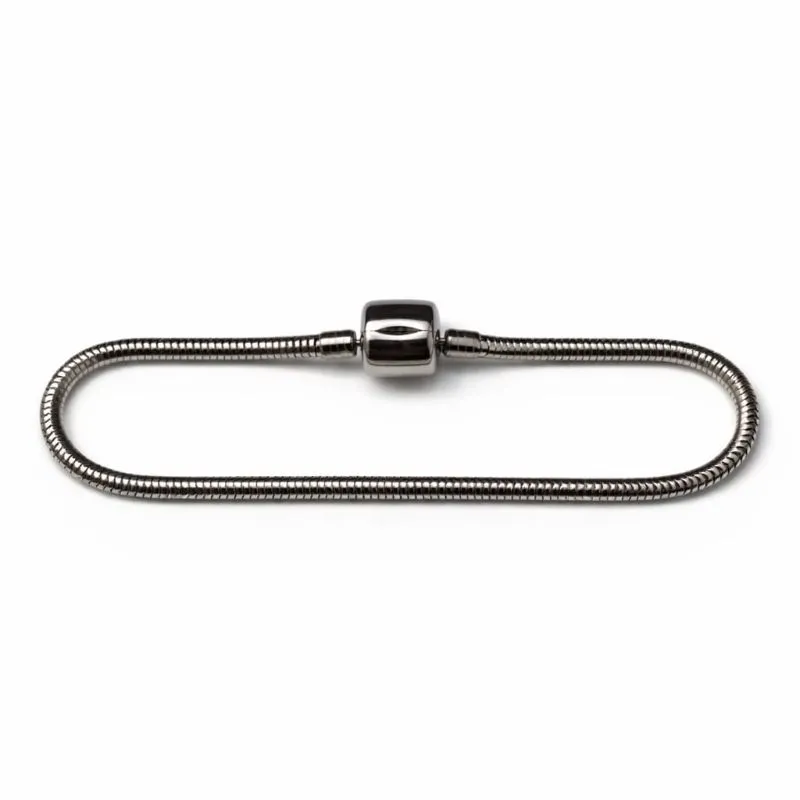 Pulseira Estilo Pandora em Aço