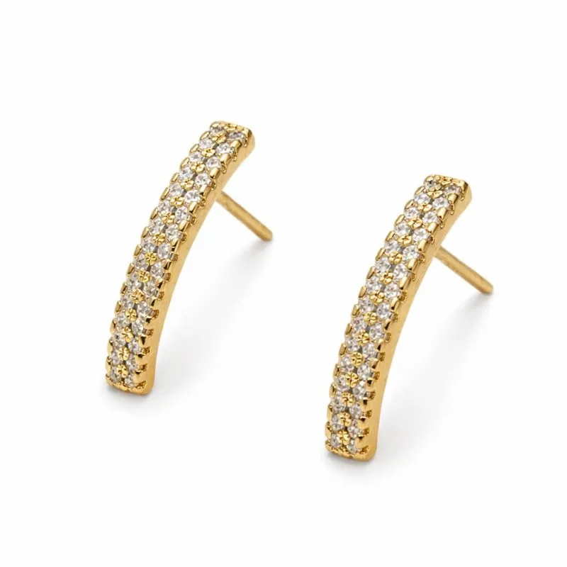 Brinco Curvado Cravejado.