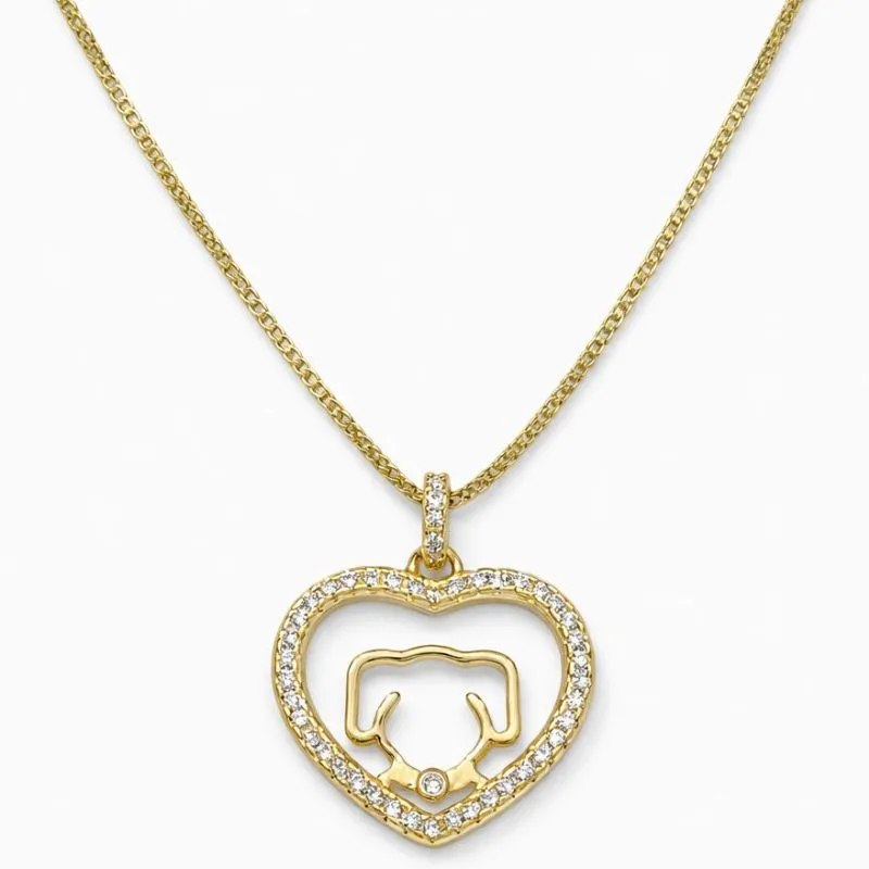 Colar Coração com Pet Banhado a Ouro