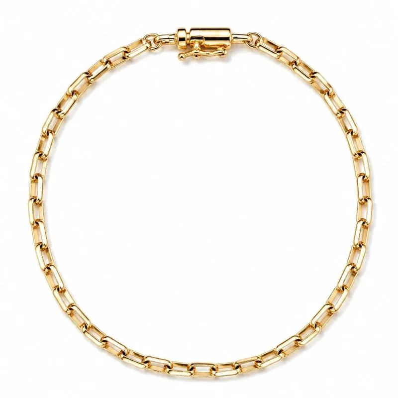 Pulseira Masculina 20cm Elo Cartier Banhada a Ouro.