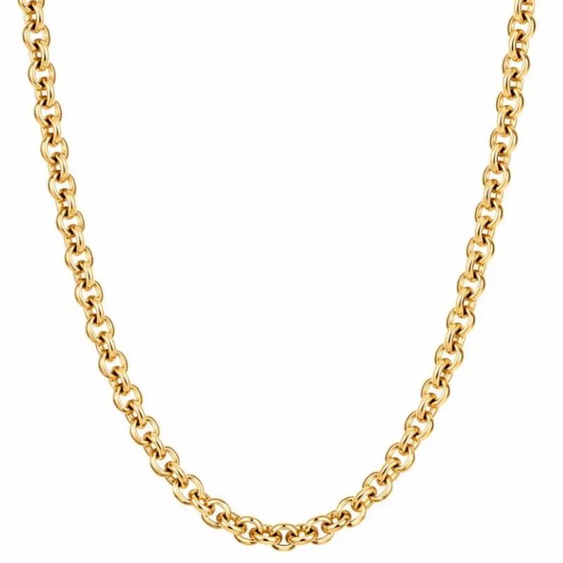 Colar Elo Português 45cm Banhada a Ouro.